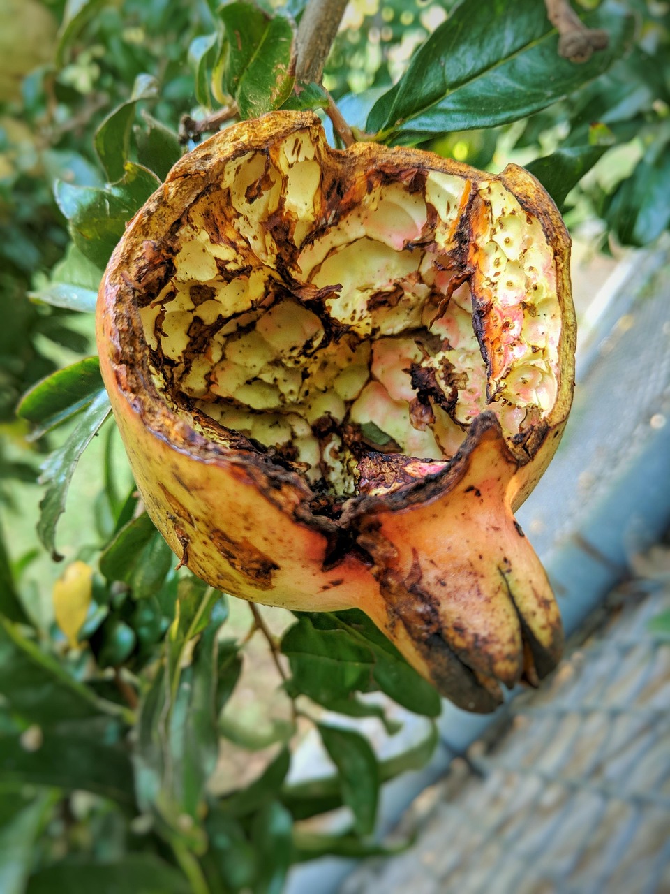 アイスを食べた翌日の体調を調整する方法は？