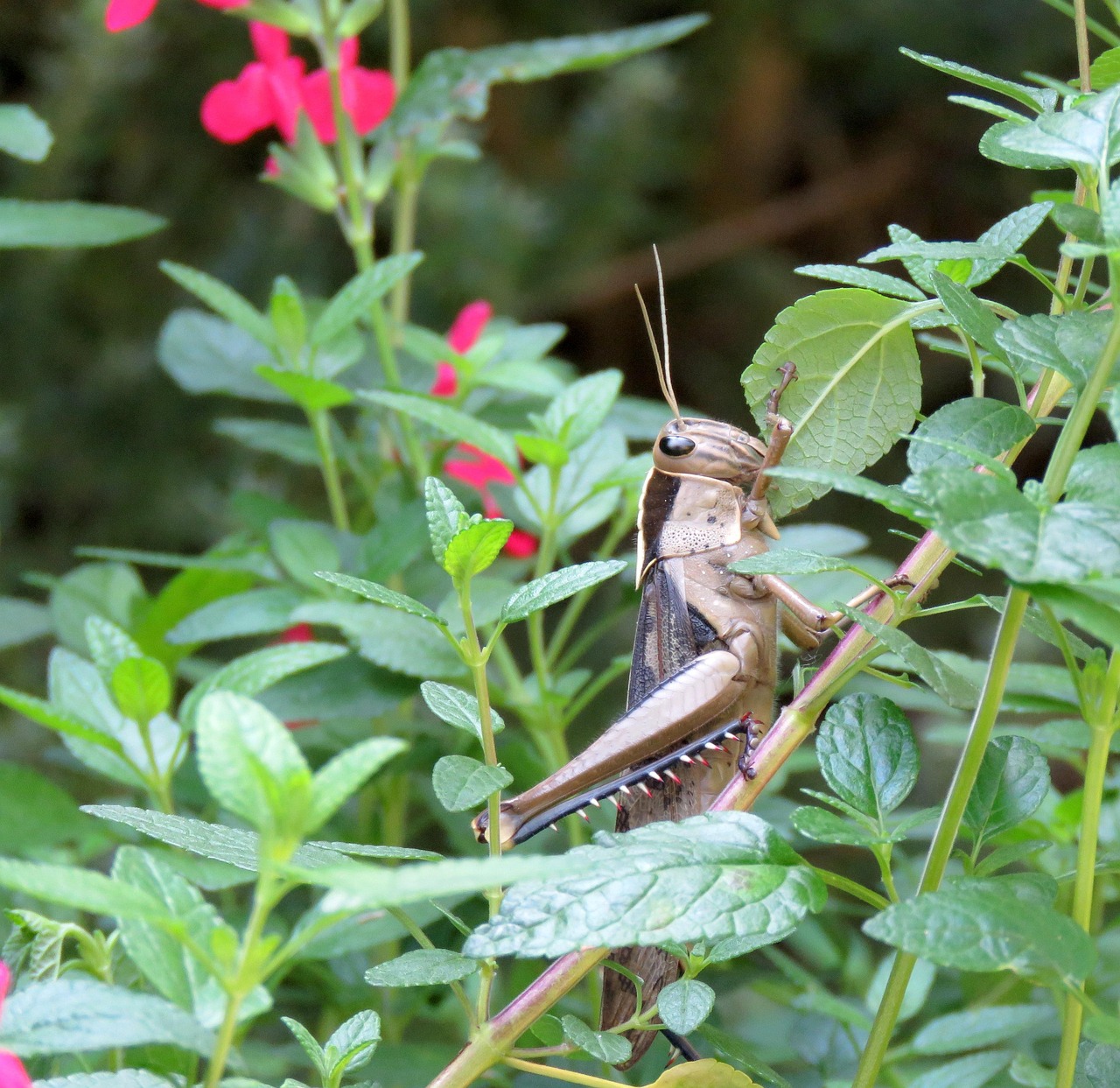 スナック菓子を食べ過ぎないために防ぐ仕組みとは？