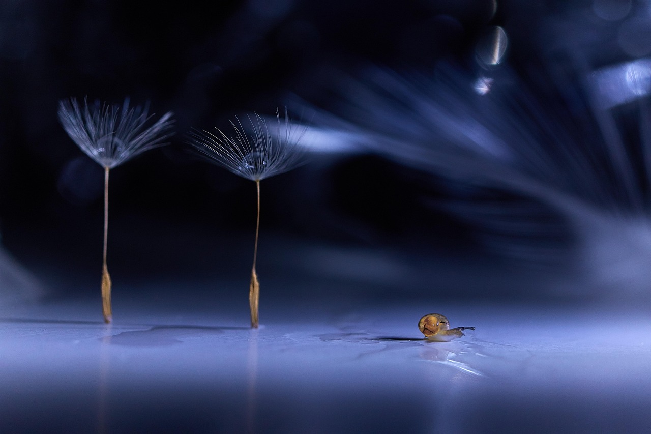 IIFYMジャンクダイエットの日本版はどのように実践すれば良い？