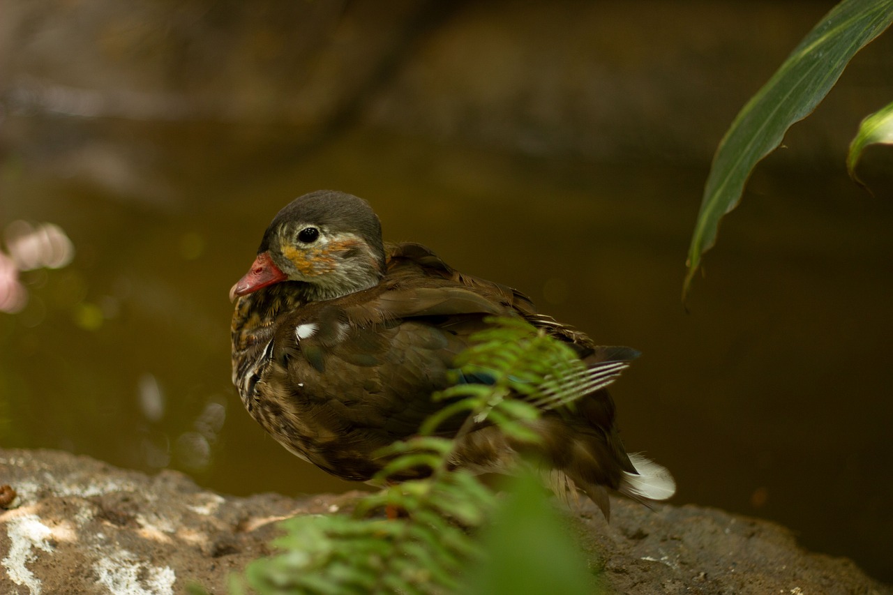 年末年始にジャンクを楽しみながら太らない過ごし方は？