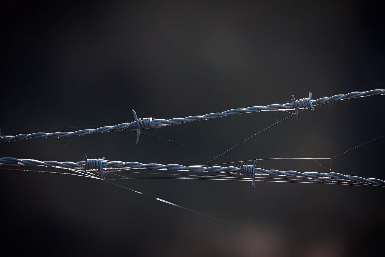 糖質制限しないジャンクダイエットの成功法則は？